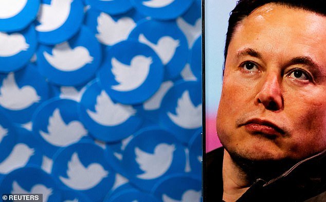 Twitter CEO Musk, who completed a $44 billion takeover in October 2022, said user accounts would be restored as long as they hadn't broken the law or engaged in spamming