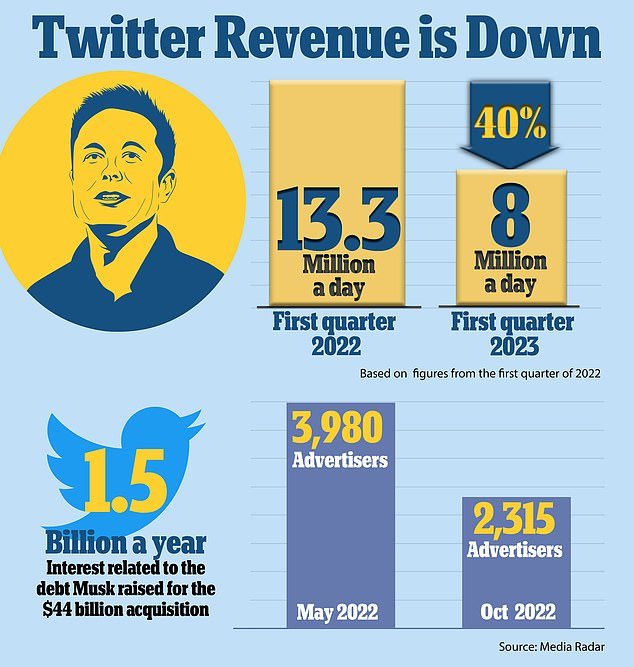 Twitter's revenue is down 40 percent, experts say, meaning daily revenue is estimated to be around $8 million, based on figures for the first quarter of 2022.