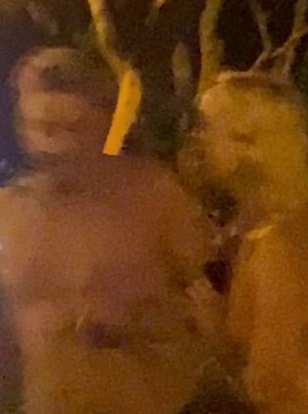 The dramatic footage shows a shirtless Clarke being yelled at and slapped by his irate girlfriend as others in the group, including Stefanovic and famed accountant Anthony Bell, try to defuse the fight.
