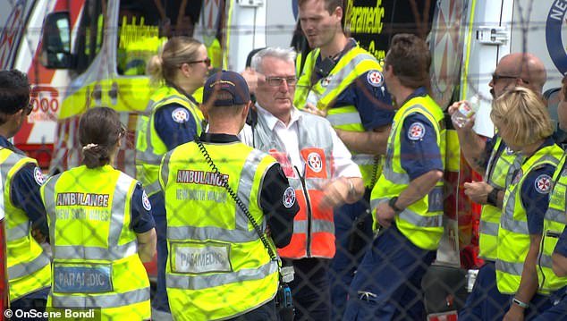 Concerned emergency services watch shortly before the flight landed safely in Sydney.