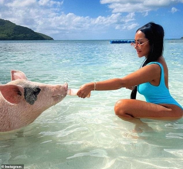 Beach Babe – In another picture, she looks like the ultimate beach babe while feeding a pig on the beach.