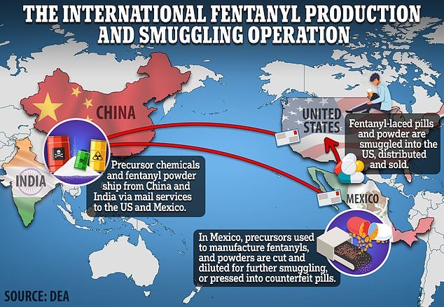 Fentanyl was originally manufactured in India and China and shipped to recipients in North America.  Since then, makeshift laboratories have sprung up in Mexico to receive the precursor chemicals from Asia, mix them or crush them into pills and smuggle them into the US