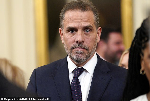 Hunter Biden, pictured in July, appeared to have used his father's Delaware home as an office between 2017 and 2019, while classified documents were stored inside.
