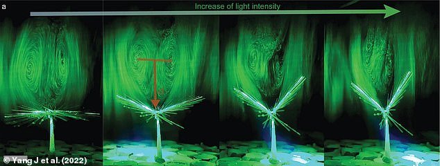 A similar vortex ring is created downstream of the FAIRY once in flight. Pictured: Photographs of the changing vortex ring pattern upon illumination of the FAIRY