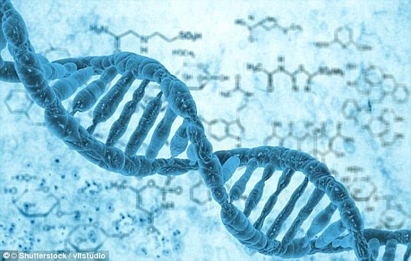 Gene cloning creates copies of genes or parts of DNA. Reproductive cloning creates copies of whole animals (stock image)