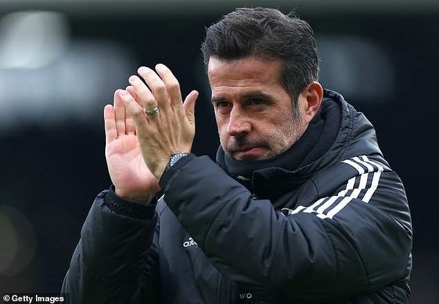 Fulham boss Marco Silva wants to bring in more January reinforcements to help the club in its quest for European football.