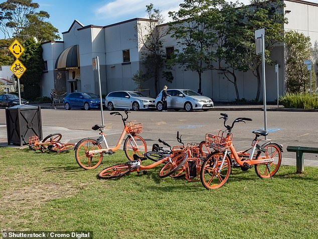 Abandoned mobikes in a Sydney park (pictured).  The company has gone into liquidation.