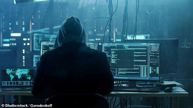 Germany's federal cyber agency is investigating digital attacks by hackers targeting websites in the country.