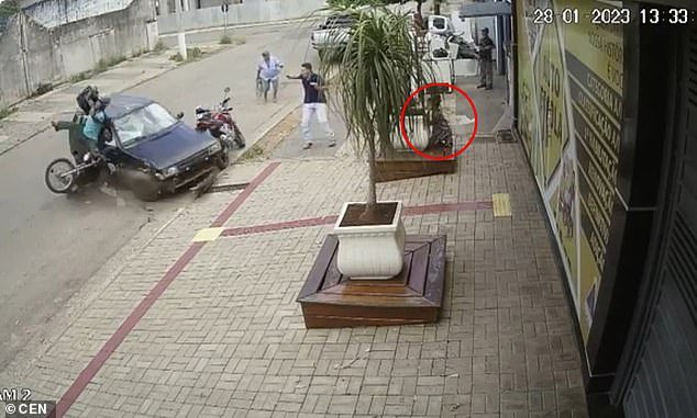 Maria is seen playing behind a potted plant, completely unaware of the car hurtling towards her. The motorcyclist hit by the car (left) suffered a suspected broken femur and was taking to hospital complaining of chest pains
