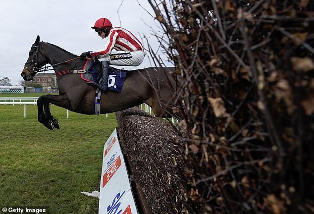 Sportsmail racing expert Robin Goodfellow offers his advice for Saturday meetings