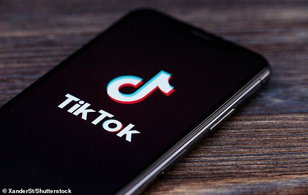 Chinese social media app TikTok will be banned on government phones and other devices for security reasons (stock image)
