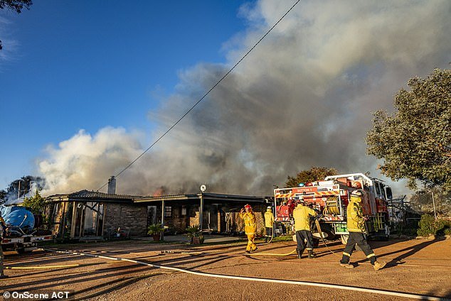 The scene was witnessed by several NSW Rural Fire Service and Fire and Rescue NSW units (pictured)