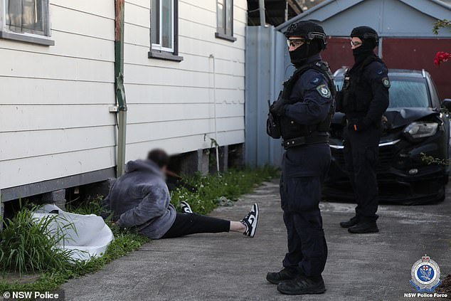 Detectives used search warrants and firearm bans to raid homes in Quakers Hill, Auburn, Greenacre, Villawood, Dundas Valley, Greystanes, South Penrith, Plumpton, Orchard Hills and Voyager Point