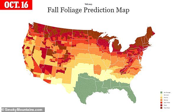 With the exception of the southern states, all other parts of the country will be covered in fall colors.