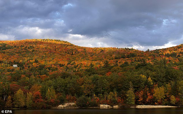 Autumn foliage shows changing colors in Woodstock, New Hampshire, USA last October.  Due to climate change, fall in the US will start earlier than last year