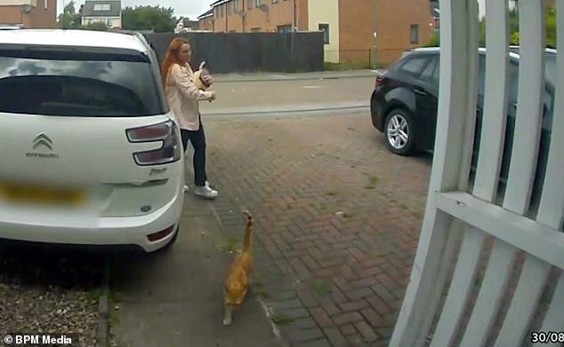 Paisley, a mother of five, 31, had just greeted orange cat Dave at the door seconds beforehand - minutes later he was dead, having been attacked by the out-of-control animals