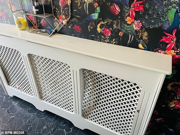 A radiator cover that Paisley claims was damaged by the Rottweilers when they burst into her home to attack her pets