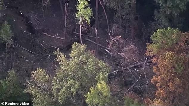 The plane appeared to crash through trees before catching fire in the field
