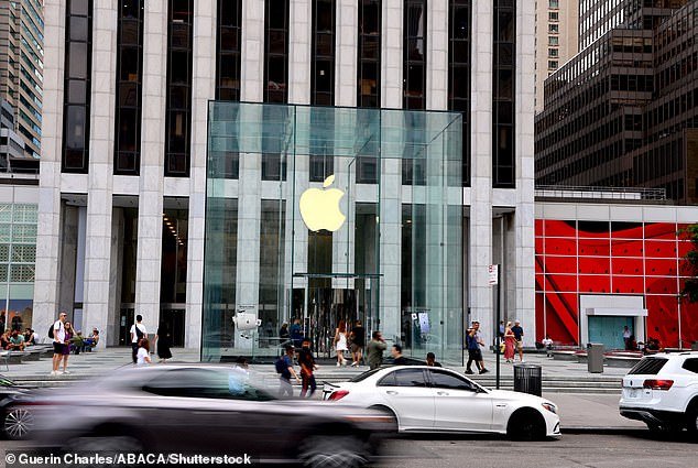 One rendering depicted the building as a glass cube similar to the Apple Store on Manhattan's Fifth Avenue (seen above), while another showed it as a 