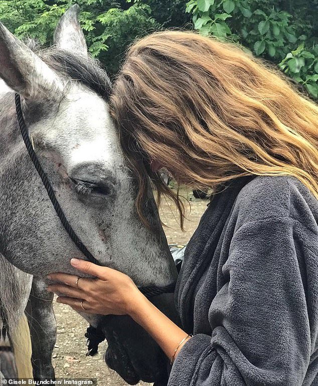 Horse lover: the Devil Wears Prada actress put her head on her gray horse
