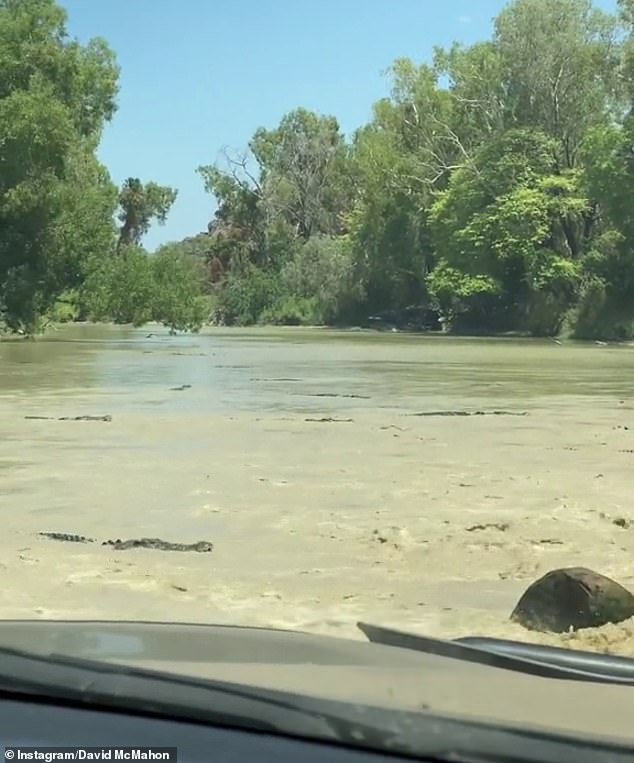 In the short video David shared, nearly fifteen crocodiles could be seen watching his car