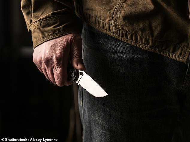 Paramedics said the victim was stabbed in the abdomen and police are now searching for the knifeman who is still at large (stock photo)