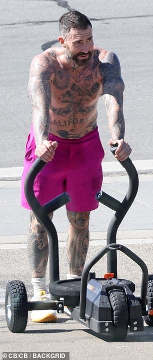 Getting Polished: The handsome heartthrob was spotted working out on a large sled exercise machine