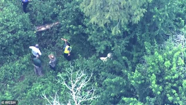Members of the search team were spotted in a clearing on the Walt Disney World grounds