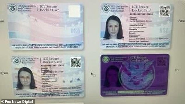A look at proposed ICE Secure Docket cards for a pilot rollout of a new program aimed at better tracking undocumented migrants released into the US