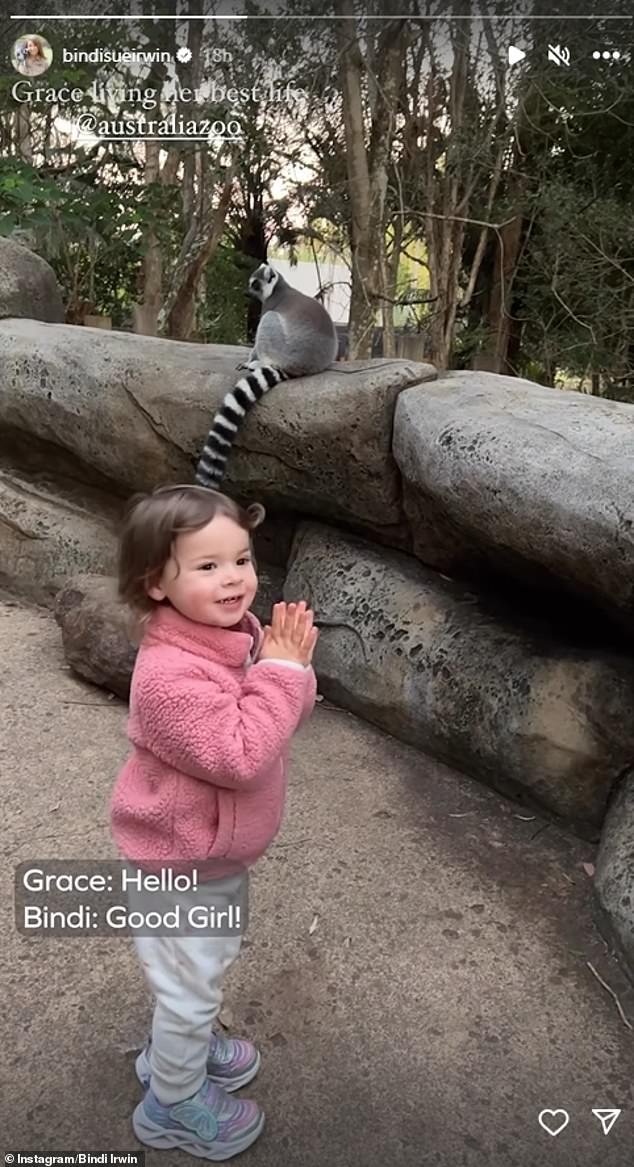 The conservationist shared an adorable video on Instagram of little Grace having the time of her life as she strolled through Irwin's family zoo on the Sunshine Coast.