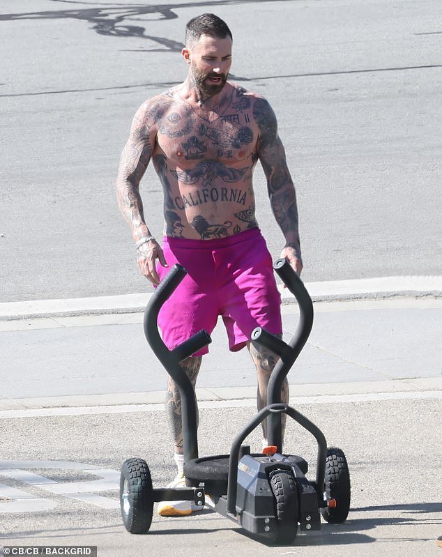 Outdoor fitness: Adam Levine gave his fans a boost by going shirtless during his outdoor fitness routine in Santa Barbara on Thursday
