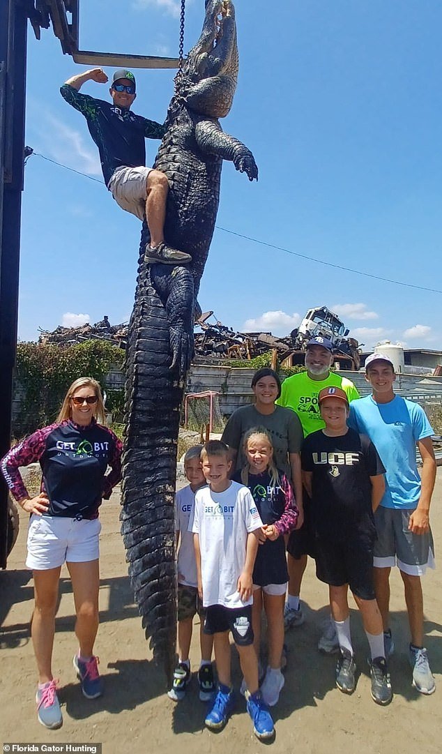 Kevin Brotz (top right of photo), a Florida alligator hunter, scared himself when he caught the second largest of its kind in the Sunshine State, at over 13 feet long and 920 pounds, which he compares to a dinosaur