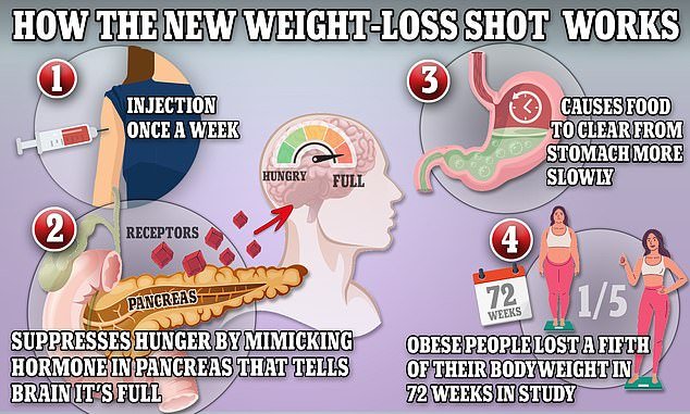 The picture above shows how tirzepatide works for weight loss.  It works to suppress hunger by mimicking hormones that signal the body to be full.  It also shows the passage of food through the stomach by reducing the production of stomach acid and muscle contractions