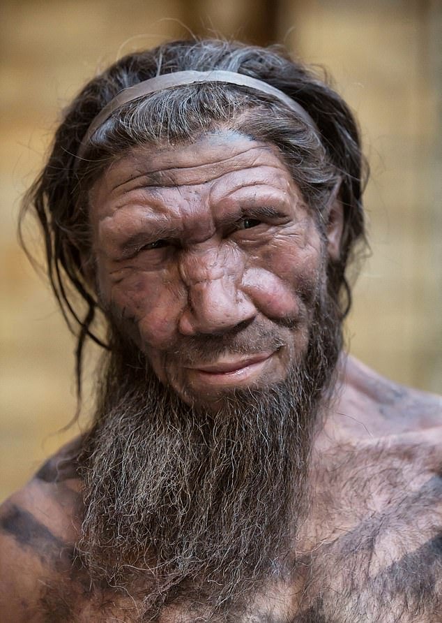 People who developed life-threatening forms of Covid may have inherited genes from their Neanderthal ancestors, a new study suggests.  Pictured is a statue made to resemble a Neanderthal