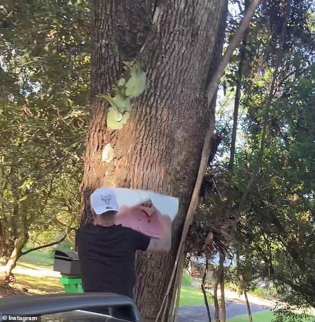 Luke Erwin, who lives on the Gold Coast, uploaded a video of himself ripping the sign off a tree and putting it in the boot of a car
