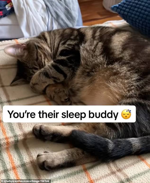 Sara reveals that if your cat sleeps next to you or even in the same bed with you, they trust you