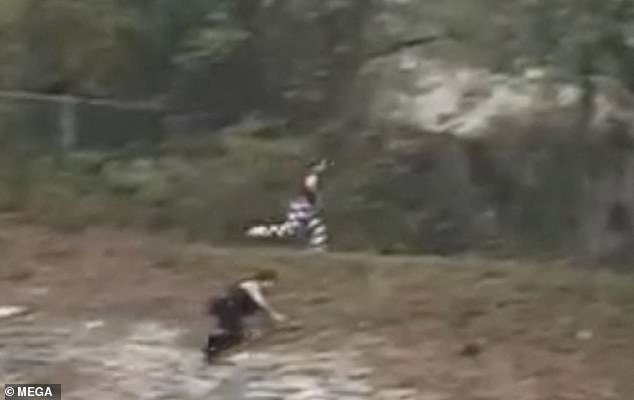 Video shows Armstrong's brazen bid for freedom in her eye-catching black and white striped prison-issue jumpsuit as officers chase her up a hill and stumble before Armstrong appears to jump a fence