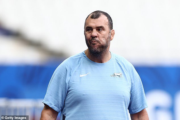 Michael Cheika's Argentina is surprisingly present in the last four, after surprising Wales