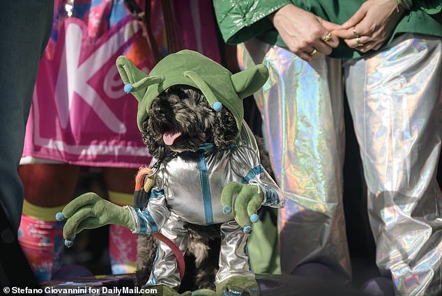 Alien costumes such as this dog dressed as an alien were also a common theme