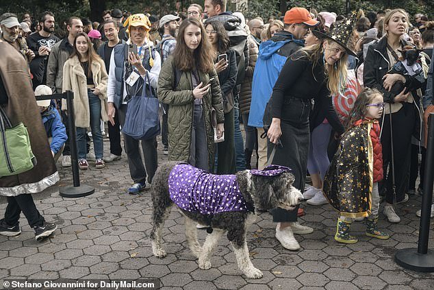 Local pet owners were also thrilled to hear the parade was starting again, having spent months planning their pet costumes