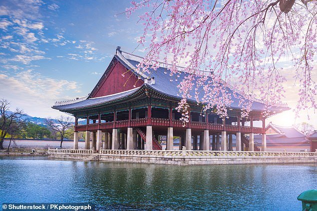 Flights from Sydney or Brisbane to Seoul (pictured) are also on offer, with a bargain for those willing to splurge on business class seats