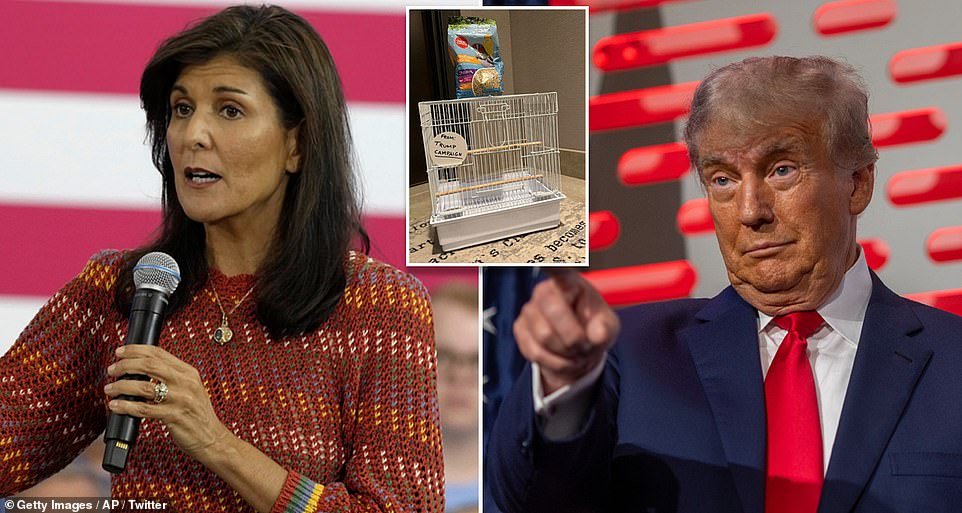 Nikki Haley is accusing Trump's campaign of sending her a cage after the former president called her 