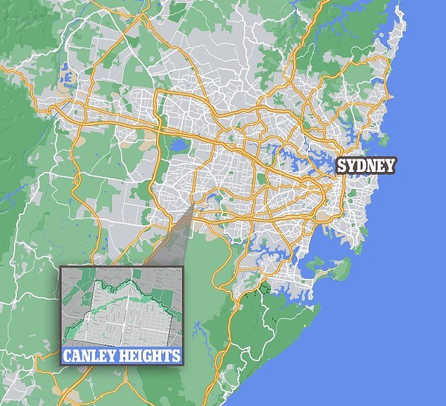 Green Valley sales agent Peter Ly said many Southeast Asian and South Vietnamese people were buying and moving to the Cabramatta-Canley Heights area