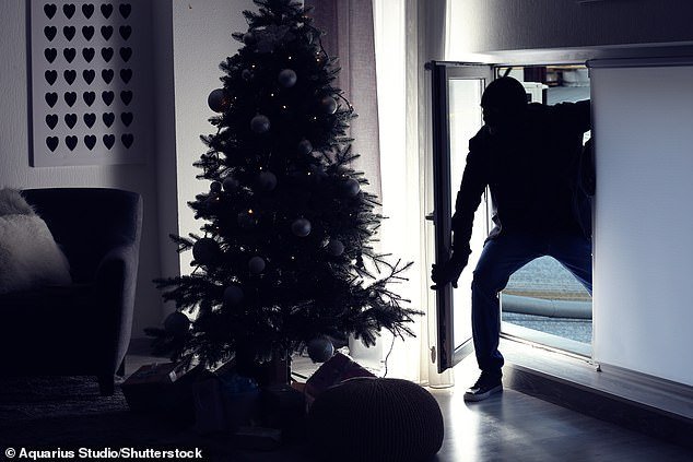 If you're proud to brighten up your home with some Christmas dazzle, Michael suggests taking valuables out of the window (Stock Image)