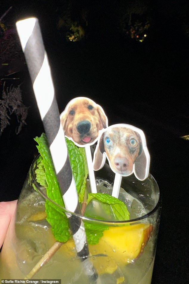 Puppies: Sofia also shared a photo of a cocktail with stir sticks with their dogs' faces on them
