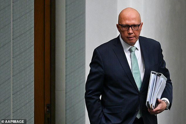 Support for the Coalition, led by Peter Dutton (pictured), has improved among voters with a Year 12 education and among voters with a TAFE, trade or vocational education