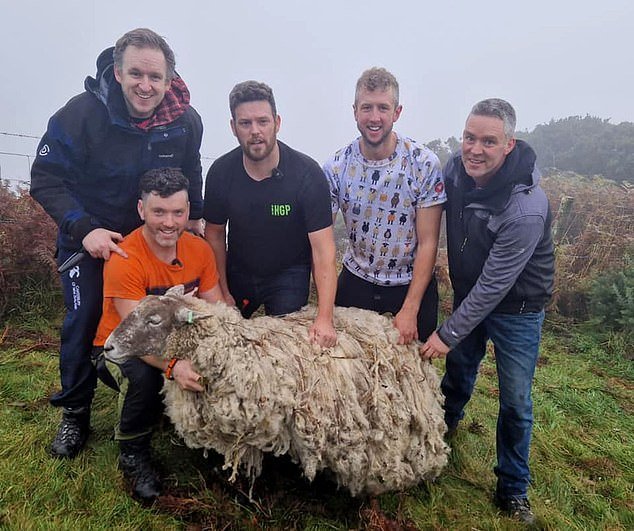 The ewe, named 'Fiona', was rescued by a team of volunteers using heavy equipment in an 'epic' mission