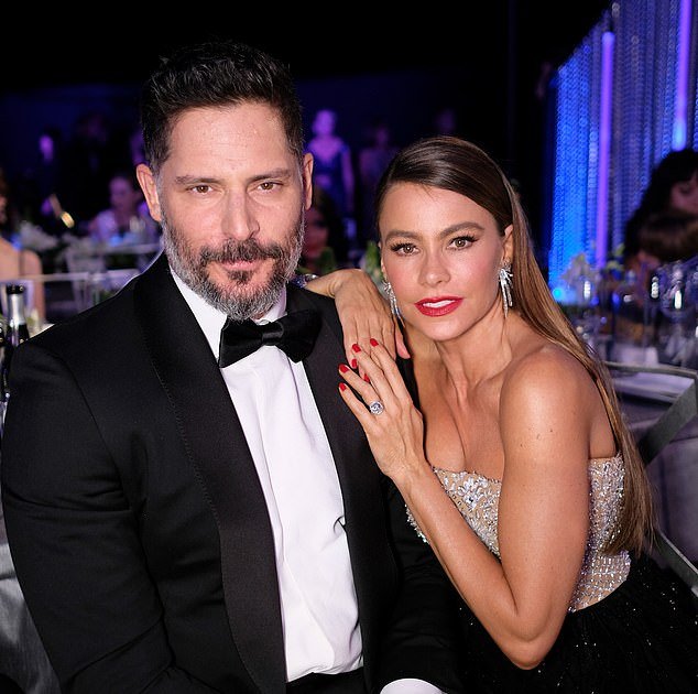 The intimate outing with her boyfriend comes just three months after Sofia and her estranged husband Joe Manganiello – pictured together in 2017 – announced their split