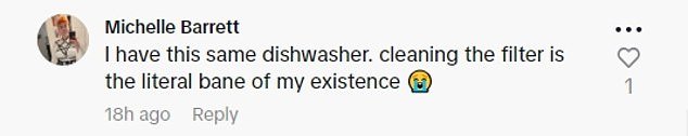1699285382 787 Womans disgusting discovery about her DISHWASHER leaves the internet shocked