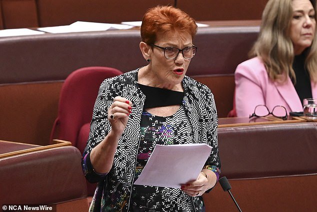 The One Nation leader spoke about the issue in the Senate on Wednesday afternoon (photo)